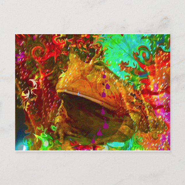 VEGAS FROG POSTCARD (Front)