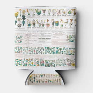 Vegetable botanical poster can cooler