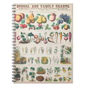 Vegetable botanical poster notebook