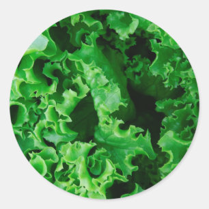 Vegetable Food Green Lettuce Classic Round Sticker
