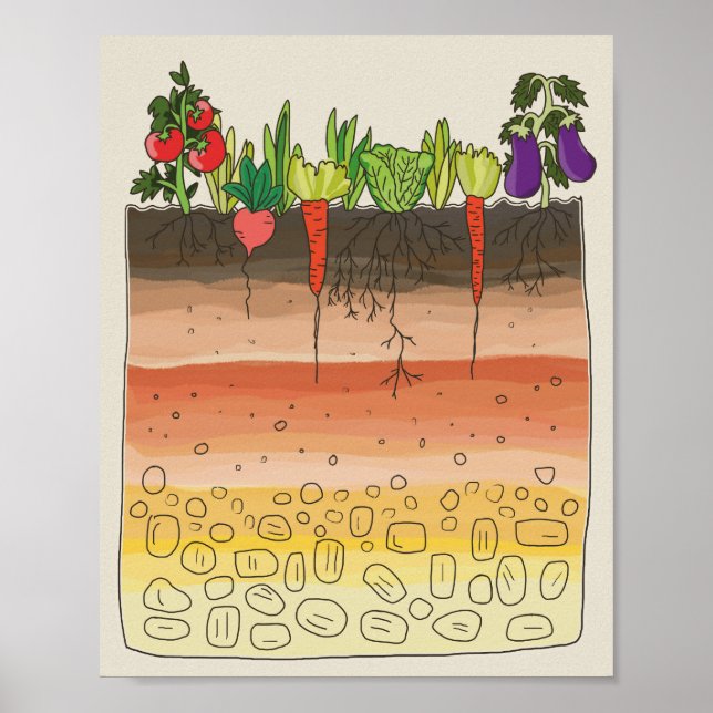 Vegetable garden soil earth layers kitchen decor (Front)