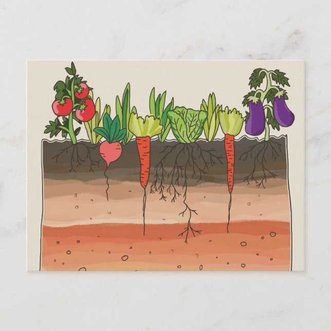 Vegetable garden soil earth layers nature art postcard (Front)