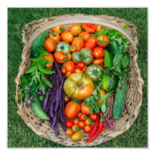 Vegetable Harvest Basket Photo Print (Front)