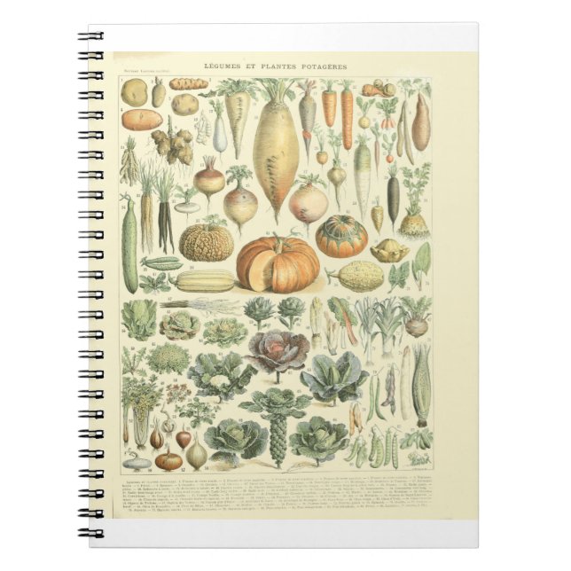 Vegetable Identification Chart Notebook (Front)