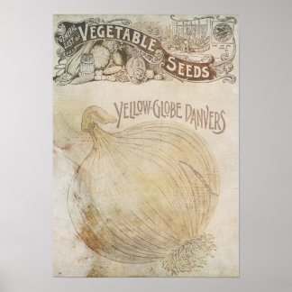 Vegetable Poster