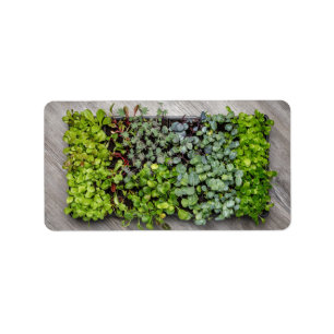 Vegetable Seedlings Label