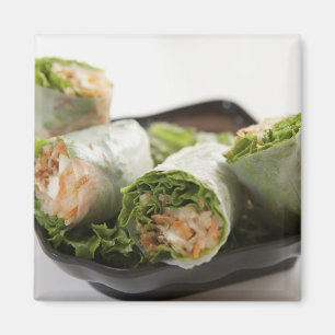 Vegetable Spring Rolls Magnet