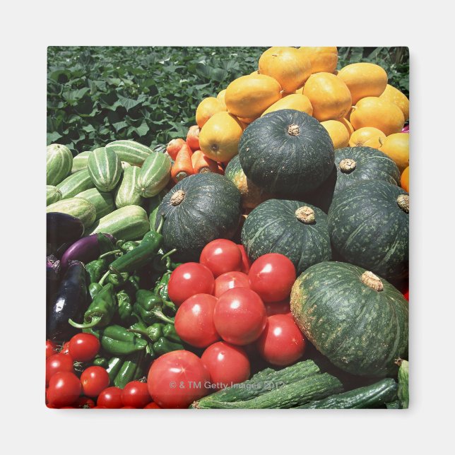 Vegetables 2 magnet (Front)