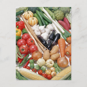 Vegetables 6 postcard