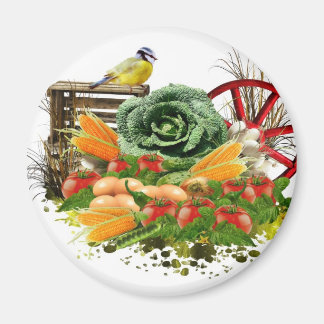 Vegetables and eggs magnet