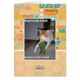Vegetarian Kitteh