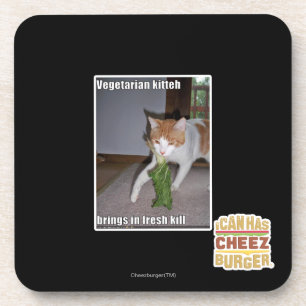 Vegetarian Kitteh Coaster