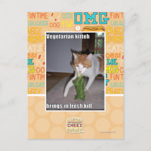Vegetarian Kitteh Postcard