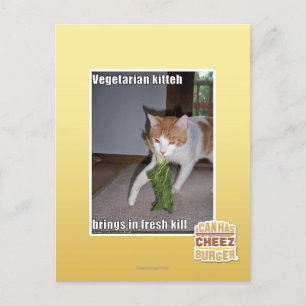 Vegetarian Kitteh Postcard
