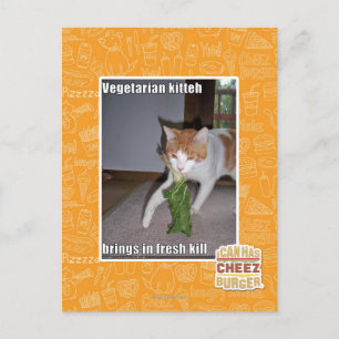 Vegetarian Kitteh Postcard