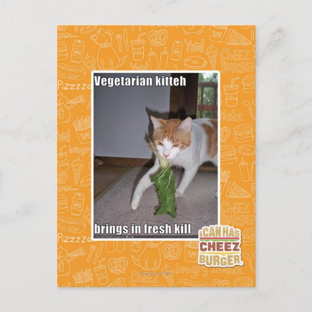 Vegetarian Kitteh Postcard (Front)