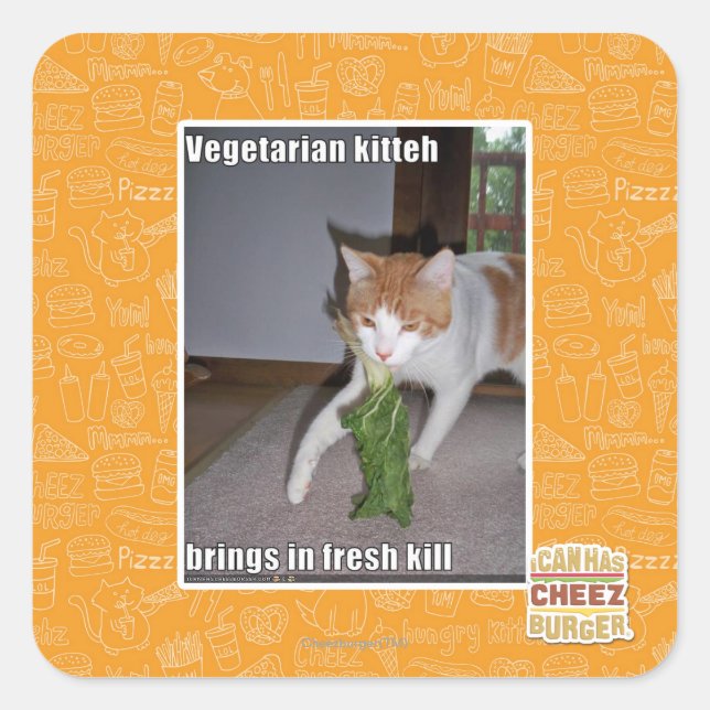 Vegetarian Kitteh Square Sticker (Front)