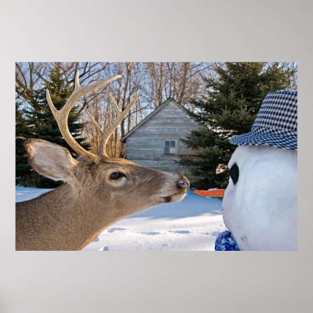 Vegetarian Poster (Front)