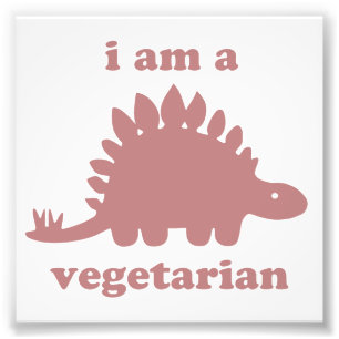 Vegetarian Stegosaurus Dinosaur - Pink Photo Print