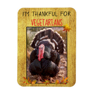 Vegetarian Thanksgiving Turkey Photo Vegan Thanks Magnet