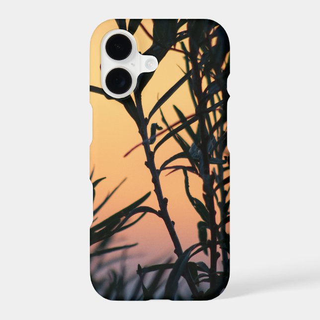 Vegetation at sunset (Back)
