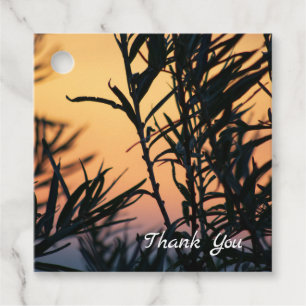 Vegetation at sunset favour tags