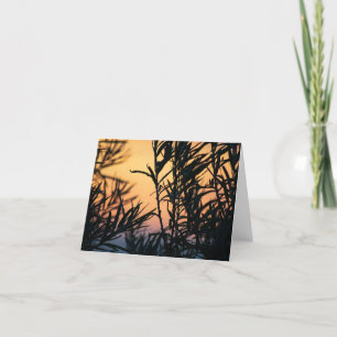 Vegetation at sunset thank you card