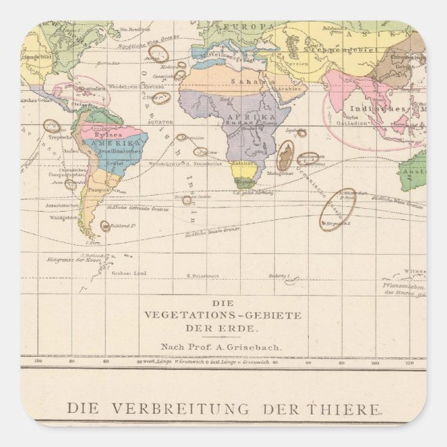 Vegetationsgebiete, Thiere Atlas Map Square Sticker (Front)