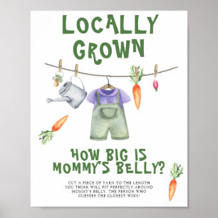 veggie baby - how big is mummy's belly game poster