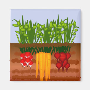 Veggie Garden Magnet