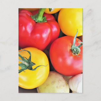 Veggie Photography Postcard