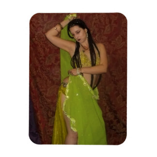 Veil Belly Dancer Photo Magnet
