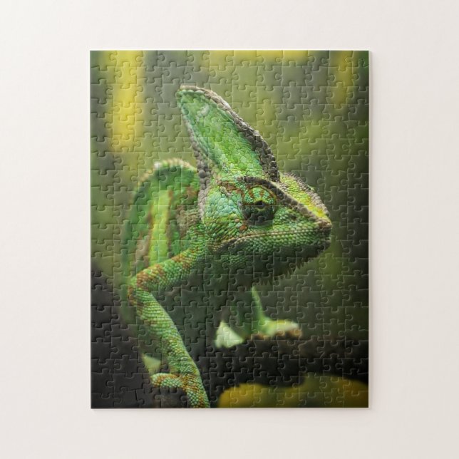 Veiled chameleon jigsaw jigsaw puzzle (Vertical)