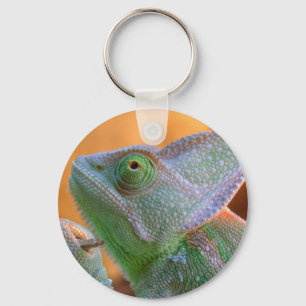 Veiled Chameleon Key Ring