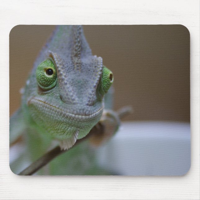 Veiled Chameleon Mouse Pad (Front)