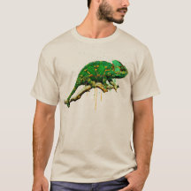 Veiled Chameleon Watercolor Reptile