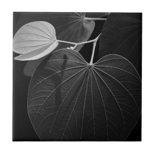 Veins of a Leaf Ceramic Tile