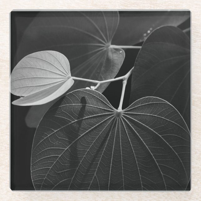 Veins of a Leaf Glass Coaster (Front)