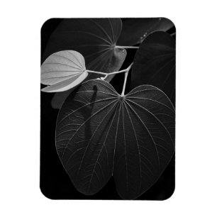 Veins of a Leaf Magnet