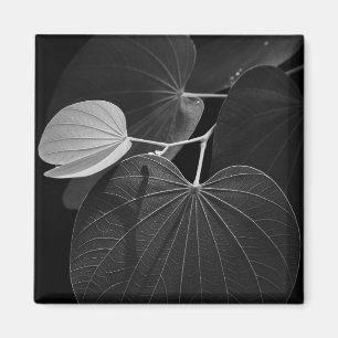 Veins of a Leaf Magnet