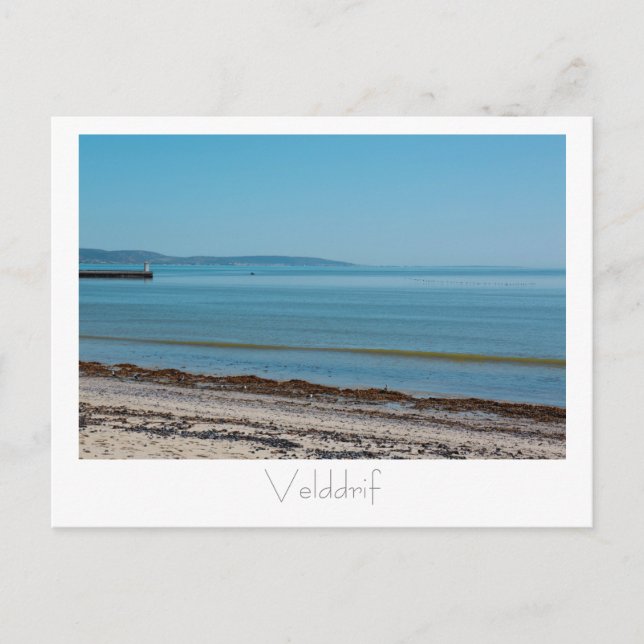 Velddrif Pier Birds Ocean SA Postcard (Front)