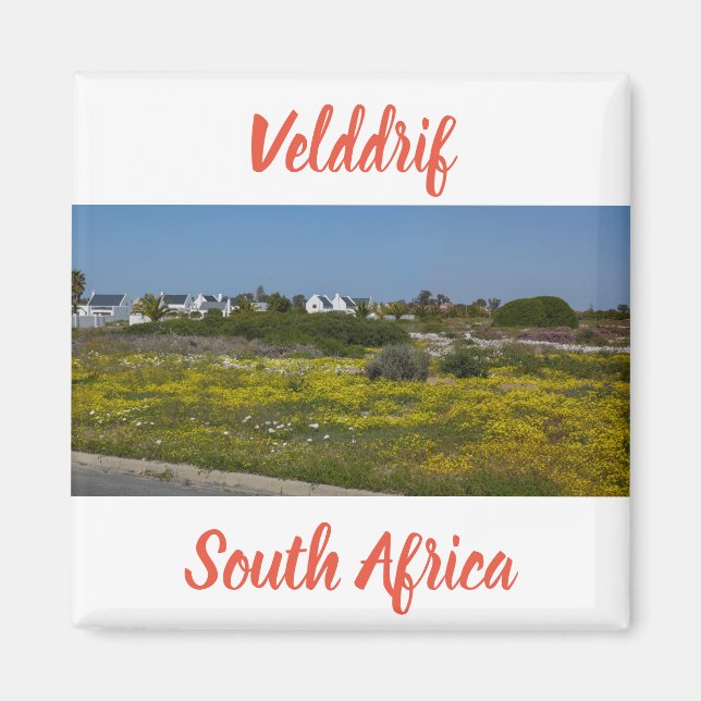 Velddrif West Coast Wild Flowers South Africa SA Magnet (Front)