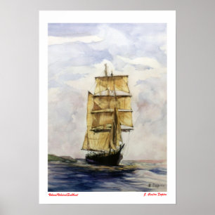 Velero/Veleiro/Sailboat Poster