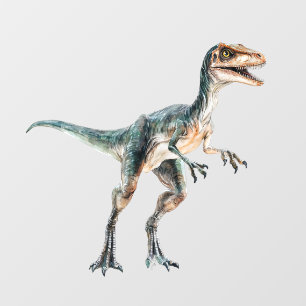 Velociraptor 