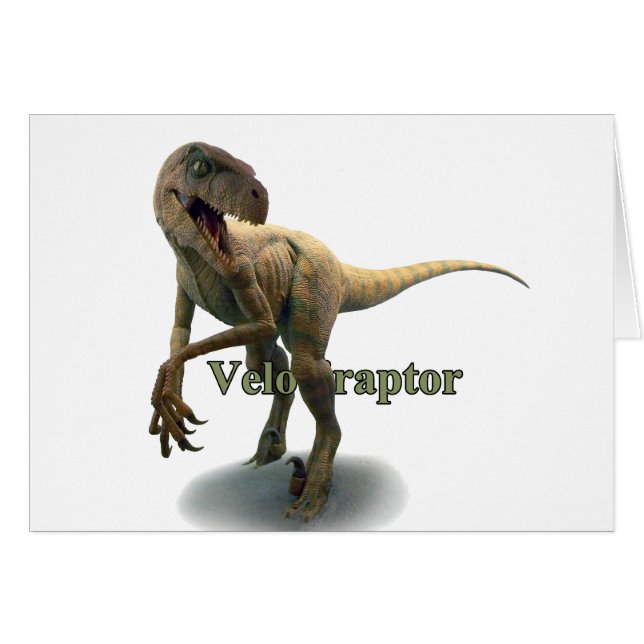 Velociraptor (Front Horizontal)