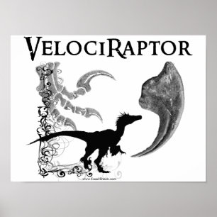 Velociraptor Poster