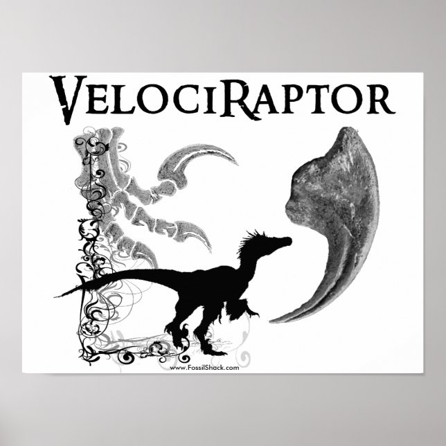 Velociraptor Poster (Front)