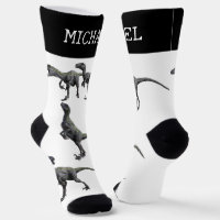 Velociraptor Raptor Dinosaur personalised Name