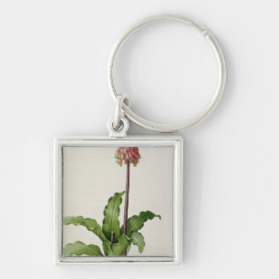 Veltheimia Capensis, from `Les Liliacees', c.1805 Key Ring