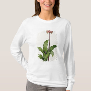 Veltheimia Capensis, from `Les Liliacees', c.1805 T-Shirt